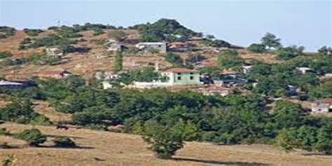 Camialan Halı ve Koltuk Yıkama