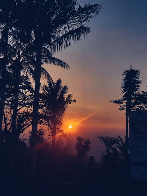 Camilamotta Leaks PORN 🍆