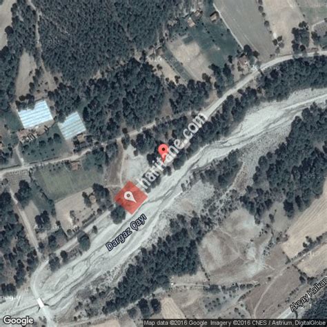 Camliova Halı ve Koltuk Yıkama