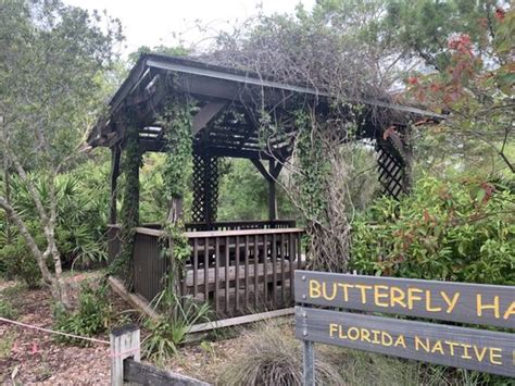 Camp Bayou Outdoor Learning Center Ruskin FL