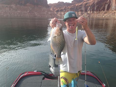 Camp Clean Cook Bass Fishing At Lake Powell On The …