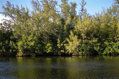 Camp Manatee at Greynolds Park Boathouse - Miami-Dade