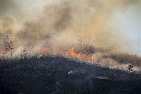 Camp Pendleton monitors vegetation fire