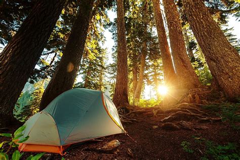 Camp spots. Looking to enjoy a camping trip without all the hassles? Check out these tips to make your experience a breeze! From packing light with Camping World gear to making sure your food ... 