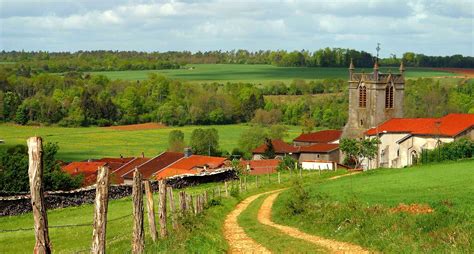 Campagne de Lorraine — Wikipédia