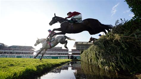 Campaigners call for ban after 3 horses die at Aintree