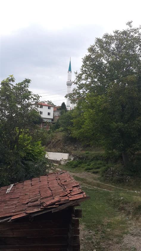 Campasali Halı ve Koltuk Yıkama