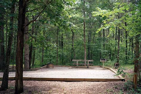 Cedars of Lebanon State Park. Active Alerts. Cedars of Lebanon has 117 campsites available. A modern group lodge can sleep up to 80 people.. 
