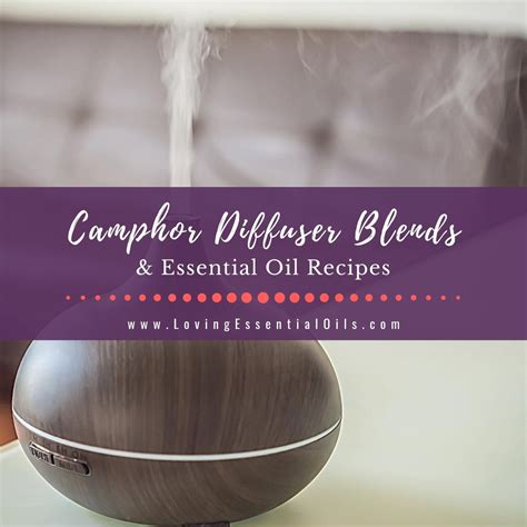 Camphor Diffuser: A Guide to Enjoying Its Benefits