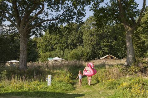 Camping **** in Longueville Manche - CampingFrance.com