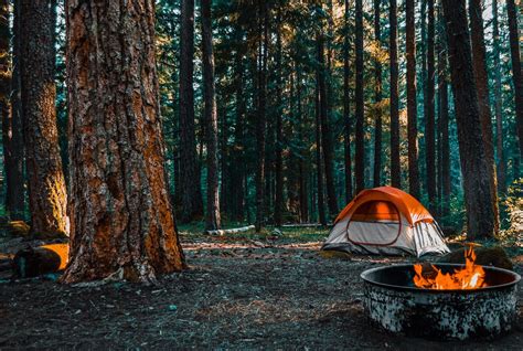 Camping Grounds & Motor Camp Himatangi Beach - North Island, NZ ...