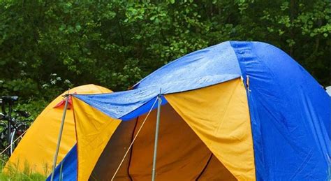 Camping Nightmare: Unraveling the Dangers of a Moldy Tent