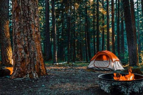 Camping near me free. Where Can You Camp for Free? There are lots of places throughout Canada and the United States, making it easy to find “free campsites near me”. National … 