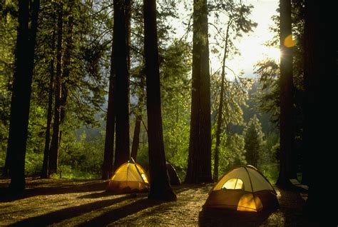 Camping woods. Camp Woods ... This 49-acre preserve is remarkable for its towering trees (some nearly 100 feet tall) and centuries-old history; George Washington's army camped ... 