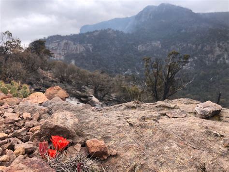 Campsites, trails to reopen after wildfire in Texas’ Big Bend National Park