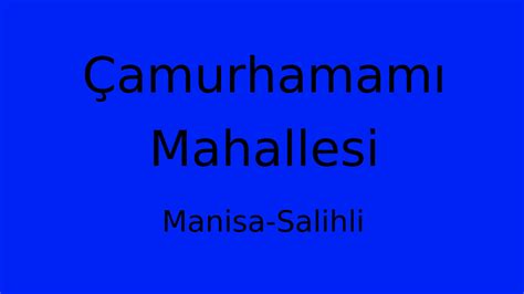 Camurhamami Halı ve Koltuk Yıkama