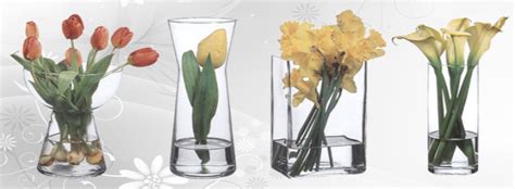 Camvazo Halı ve Koltuk Yıkama