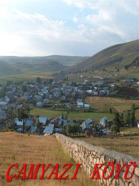 Camyazi Halı ve Koltuk Yıkama