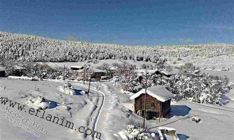 Camyurt Halı ve Koltuk Yıkama