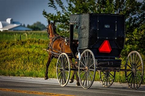 Can Amish ride in cars?