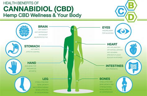 Can CBD’s Effects Get “Dull” Over Time?