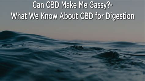 Can CBD Make Me Gassy?– What We Know About CBD for Digestion