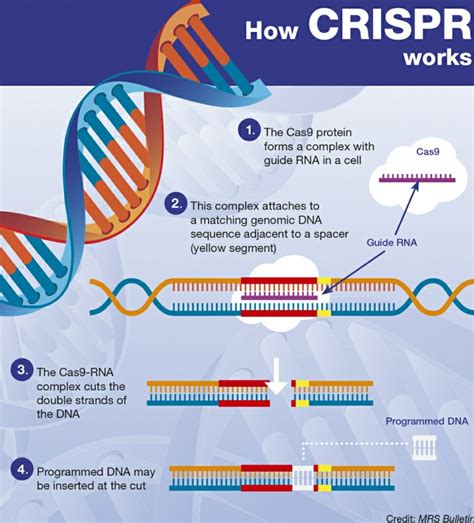 Can CRISPR Technology Treat Alzheimer