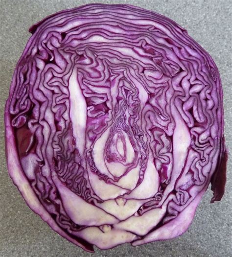 Can Cabbage Leaves Draw Out Infection