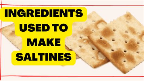 Can Cats Eat Saltine Crackers? - Pet Cats World