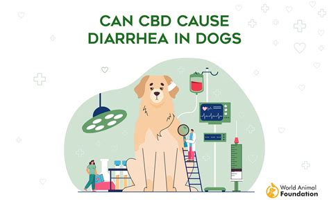 Can Cbd Give My Dog Diarrhea