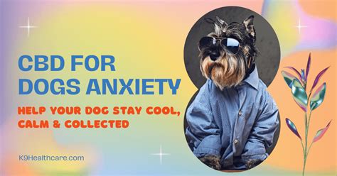 Can Cbd Make Dog Anxiety Worse