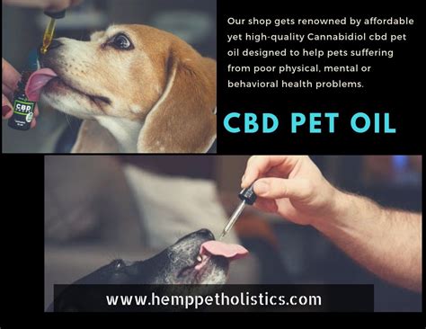 Can Cbd Oil Help Dogs With Breathing Problems