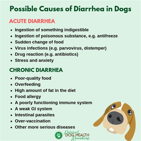 Can Cbd Treats Give Dogs Diarrhea