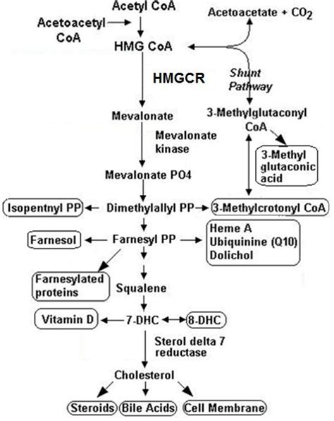 Can CoQ10 be used without statin drugs? If so, is it effective?