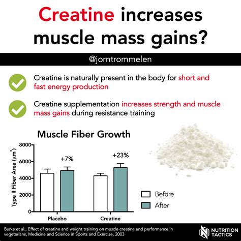 Can Creatine Phosphate Build Muscle Mass and Strength 