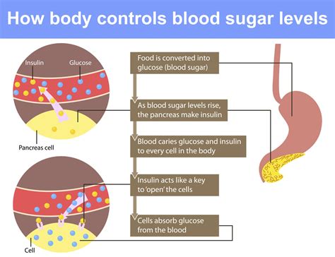 Can Dehydration Affect Blood Sugar Levels? DiabetesTalk.Net