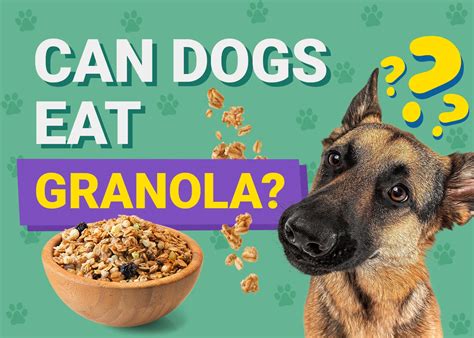 Can Dogs Eat Granola? Cuteness