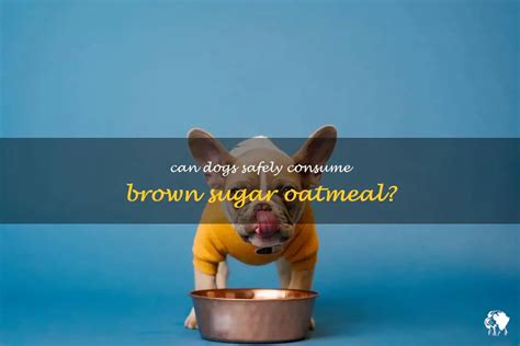 Can Dogs Eat Oatmeal With Brown Sugar? - petanimalsquery.com