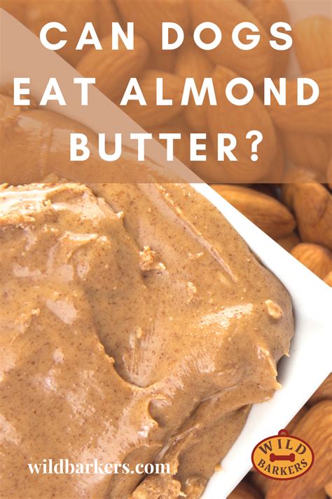 Can Dogs Have Almond Butter Does Not Contain Anything Known
