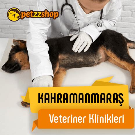 Can Dostum, veteriner klinikleri, Batıkent Mh., Ulusal  Yandex. 