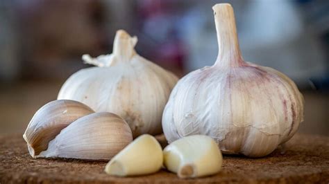 Can Garlic Salt Cause Heartburn • help heartburn