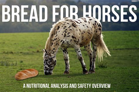 Can Horses Eat Bread? - Just for my Horse