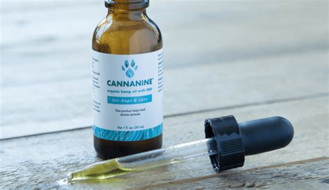 Can I Give My Dog My Cbd Oil For Humans