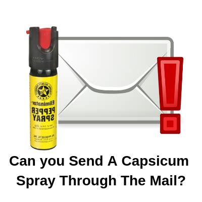 Can I Mail Pepper Spray? – LegalProX