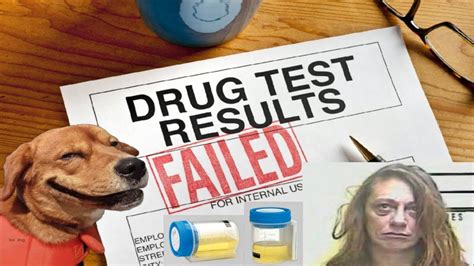 Can I Use Dog Urine To Pass A Drug Test