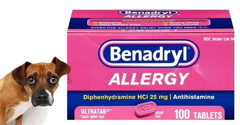 Can I give my dog benadryl for sinus and allergy?