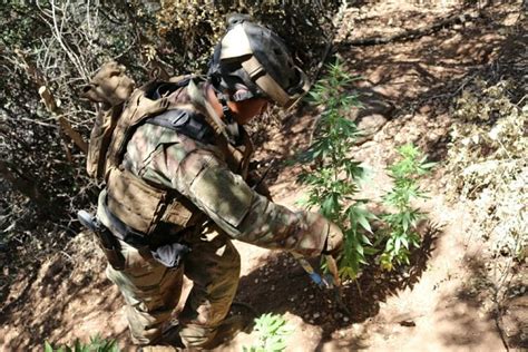 Can Military Spouses Smoke Marijuana? - Military Benefits