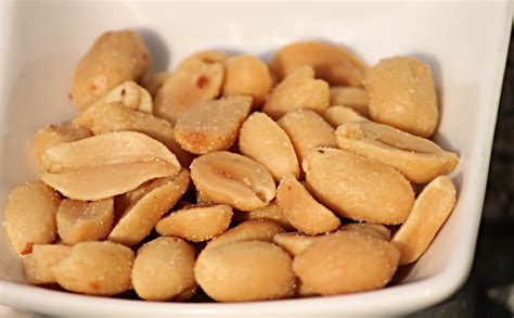 Can My Dog Eat Peanuts? - Vet Help Direct