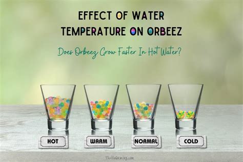 Can Orbeez grow in cold water? – TeachersCollegesj