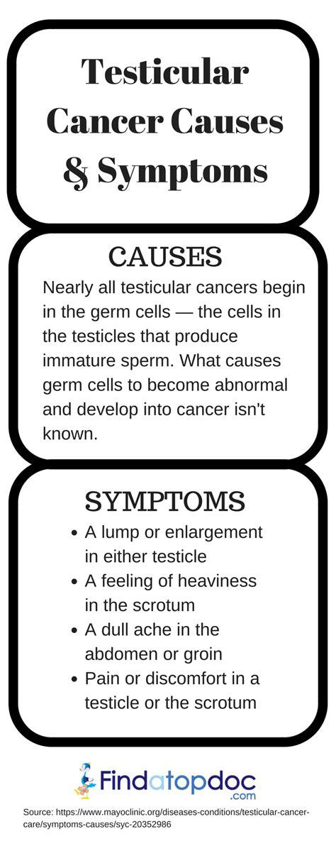 Can Testicular Cancer be Fatal? - FindaTopDoc